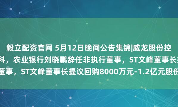 毅立配资官网 5月12日晚间公告集锦|威龙股份控股股东拟变更为齐信数科，农业银行刘晓鹏辞任非执行董事，ST文峰董事长提议回购8000万元-1.2亿元股份